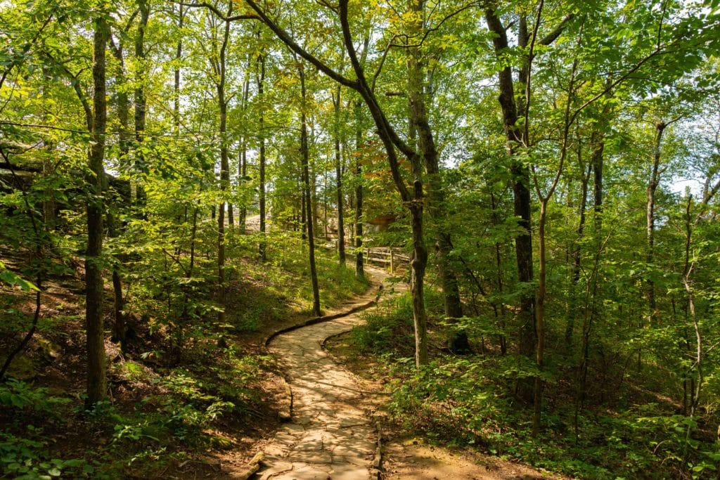Hiking trail leading to the Garden of the Gods overlooks. Shawnee National Forest, Illinois, USA