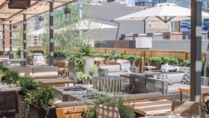 Image of Aba rooftop with a tons of green plants in between the tables with lounging couches and firepits
