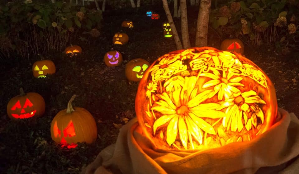 1,000 Jack-O-Lanterns Will Be Lighting Up The Chicago Botanic Garden Again This Month