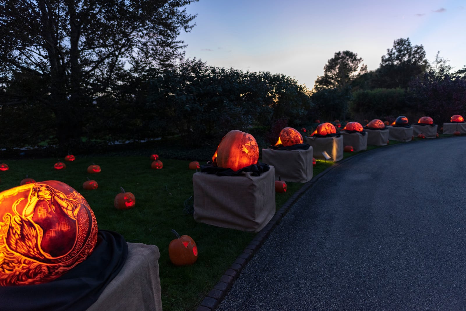 Photo of Night of 1,000 Jack-O-Lanterns at Chicago Botanic Garden in 2021