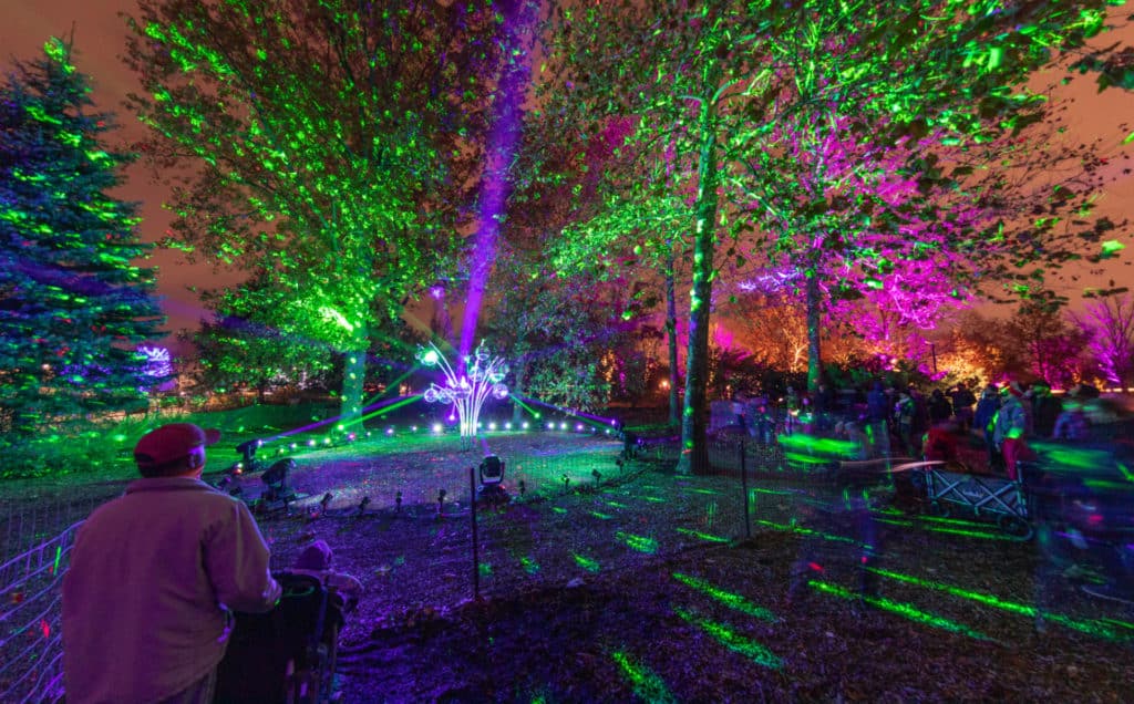Image showing people watching a light display at the Morton Arboretum in Chicago