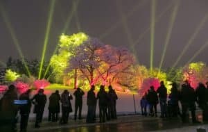 Image showing people at the Symphony Woods exhibit at Morton Arboretum's Illumination lights show in Chicago
