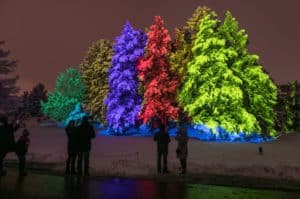 Image showing people at the Treemagination exhibit at Morton Arboretum's Illumination lights show in Chicago