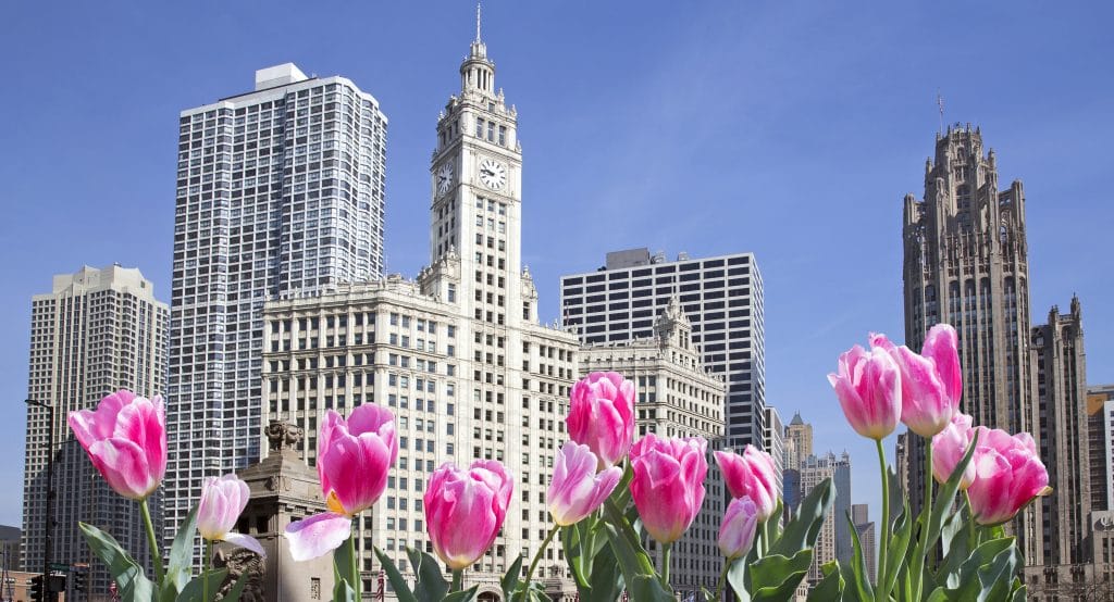 50 Fantastic Activities To Do In Chicago This April
