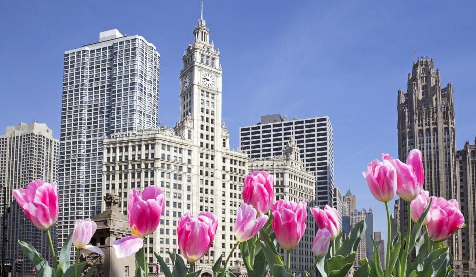 50 Fantastic Activities To Do In Chicago This April