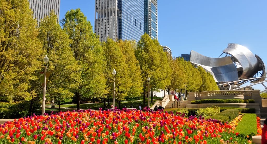 50 Marvelous Things To Do In Chicago In May