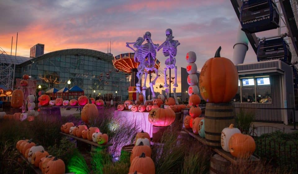 ‘Pier Pumpkin Lights’ Has Returned To Navy Pier For All Of October