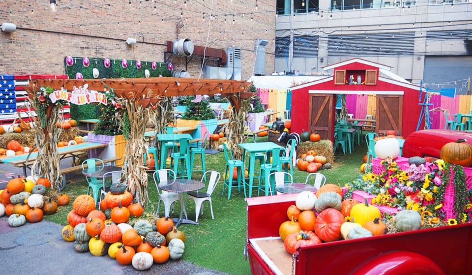 JoJo’s Shake Bar’s Pumpkin Patch Patio Opens For Fall Today