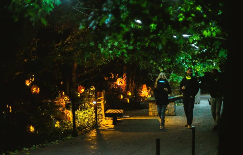 Image of Lincoln Park Zoo's after-hours adults-only fall event 2019