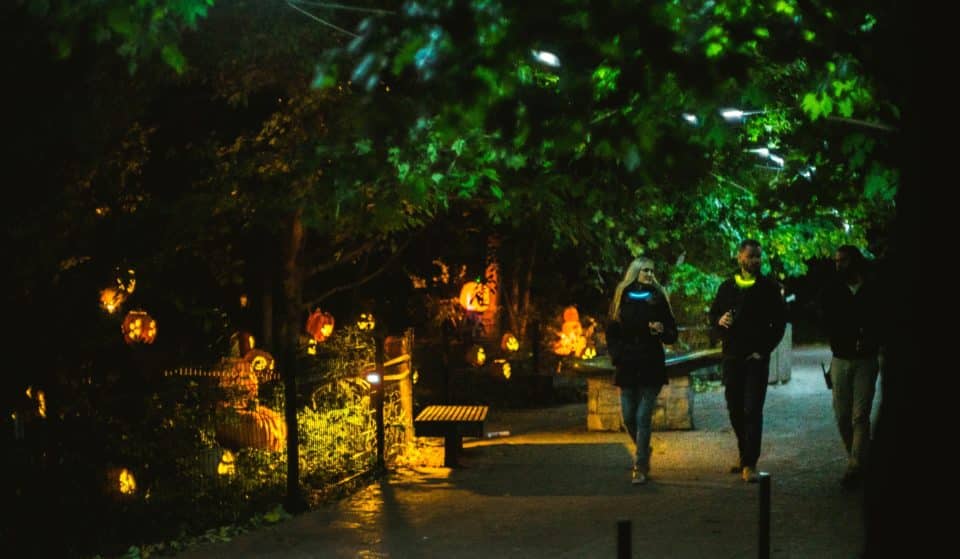 Lincoln Park Zoo’s Spooky After-Hours Adult-Only Event Returns This Thursday