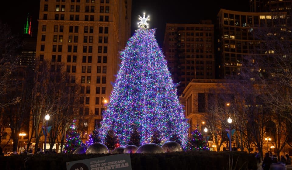 The 109th Annual City Of Chicago Christmas Tree In Millennium Park Has Been Lit For The Holiday Season