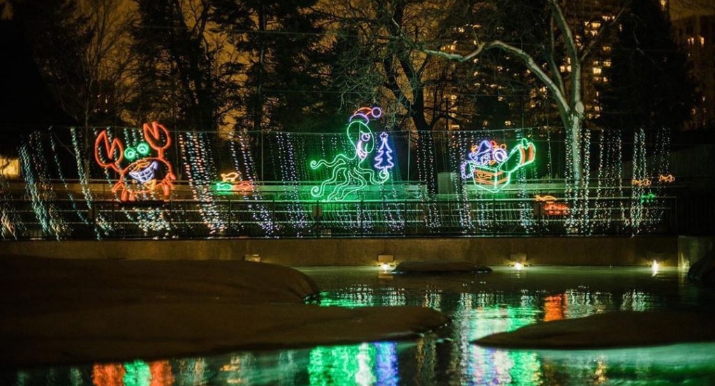 Themed light display at Lincoln Park Zoo Lights, Chicago, IL 2017.