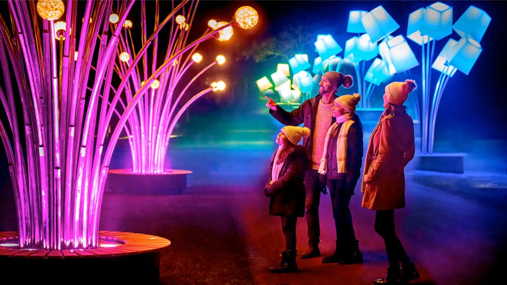 the lamps installation at the Chicago Botanic Garden's Lightscape event in Chicago