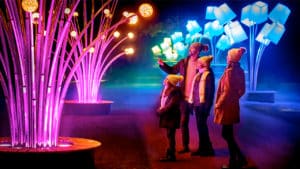 Image showing the Night Lights installation at the Chicago Botanic Garden's Lightscape event in Chicago