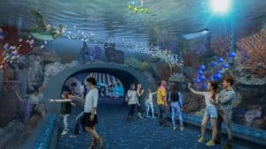 Image showing the new 40-foot tunnel to be installed in the Caribbean Reef exhibit at the Shedd Aquarium in Chicago