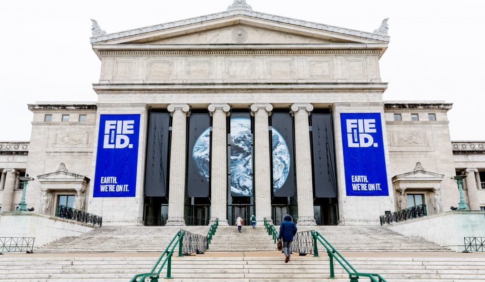 Chicago’s Field Museum Will Be Completely Free For Illinois Residents This Coming Weekend