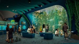 Image showing a rendering of the Kelp Forest exhibit at the Shedd Aquarium in Chicago