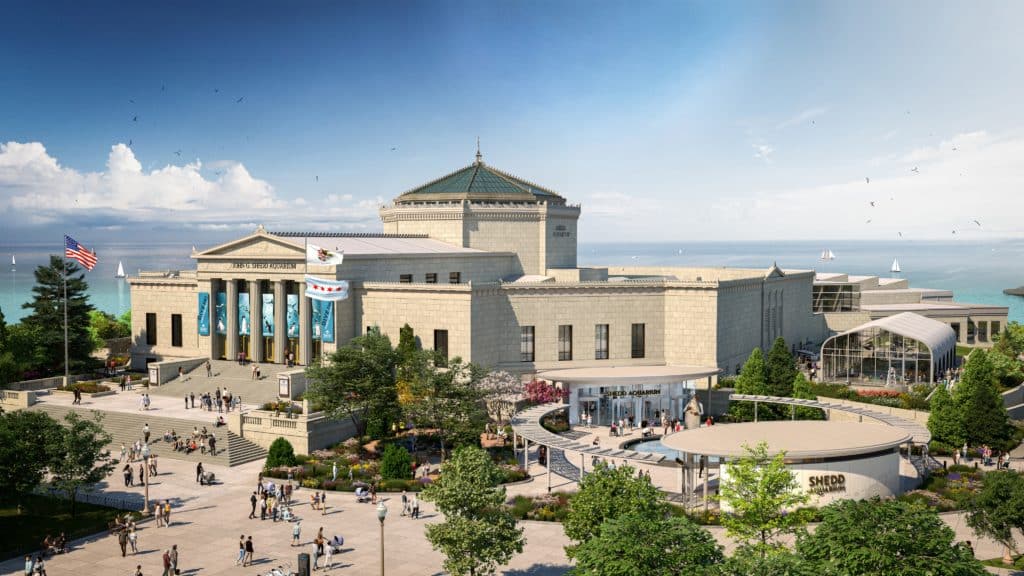 Shedd Aquarium Has Released More Details And Renderings Of Its $500 Million Renovation Project