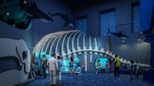Image showing a rendering of the new Whalefall exhibit at the Shedd Aquarium in Chicago