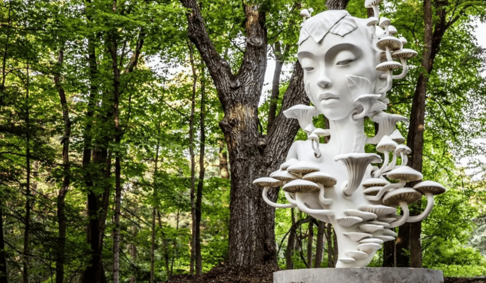 Three New Towering Tree Sculptures Have Been Unveiled At The Morton Arboretum Today