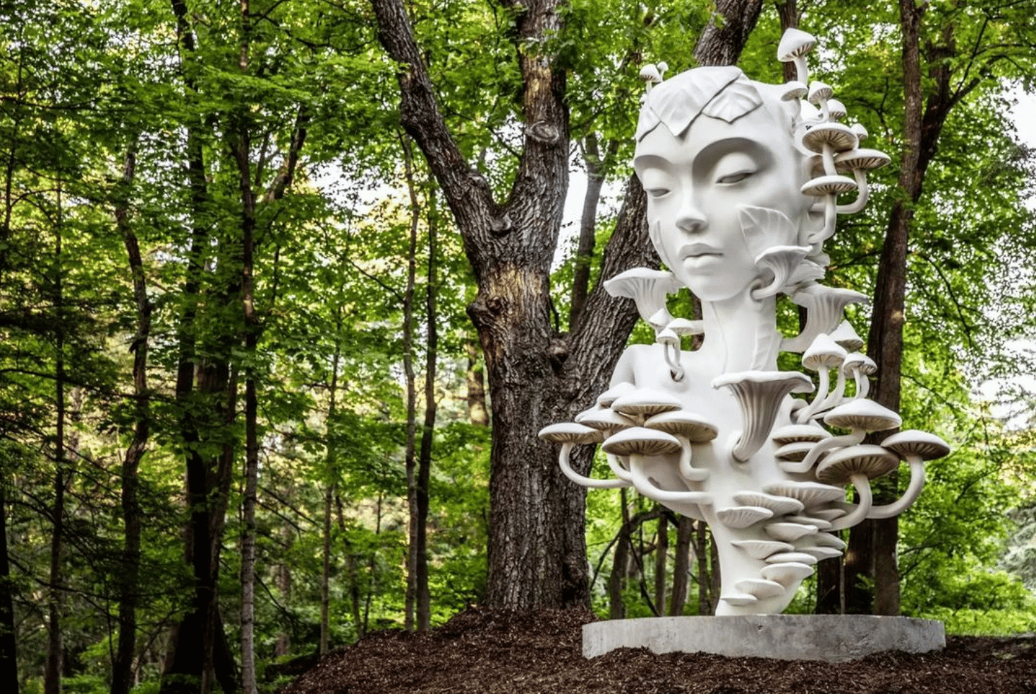 Photo of a new Daniel Popper sculptur