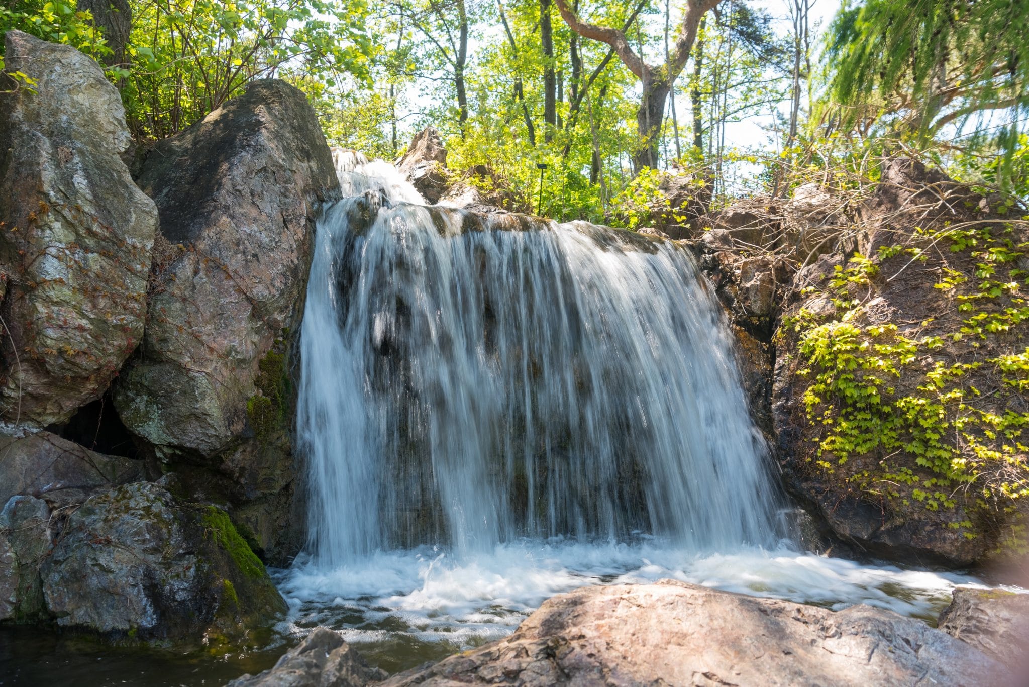 Image of a waterfall in the Chicago Botanic Garden in Chicago