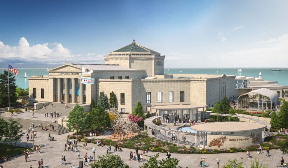 Shedd Aquarium’s $500 Million Large-Scale Expansion Plans Have Been Unanimously Approved