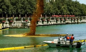 Image showing rubber ducks falling into the Chicago River during Chicago's annual summer Ducky Derby event