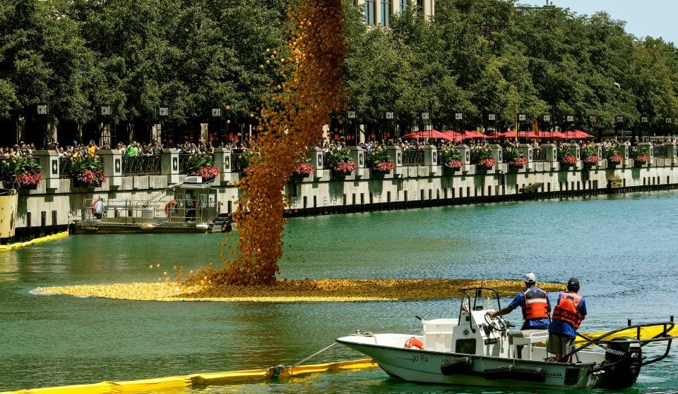 Chicago’s Ducky Derby Returns To The Chicago River Starting Tomorrow
