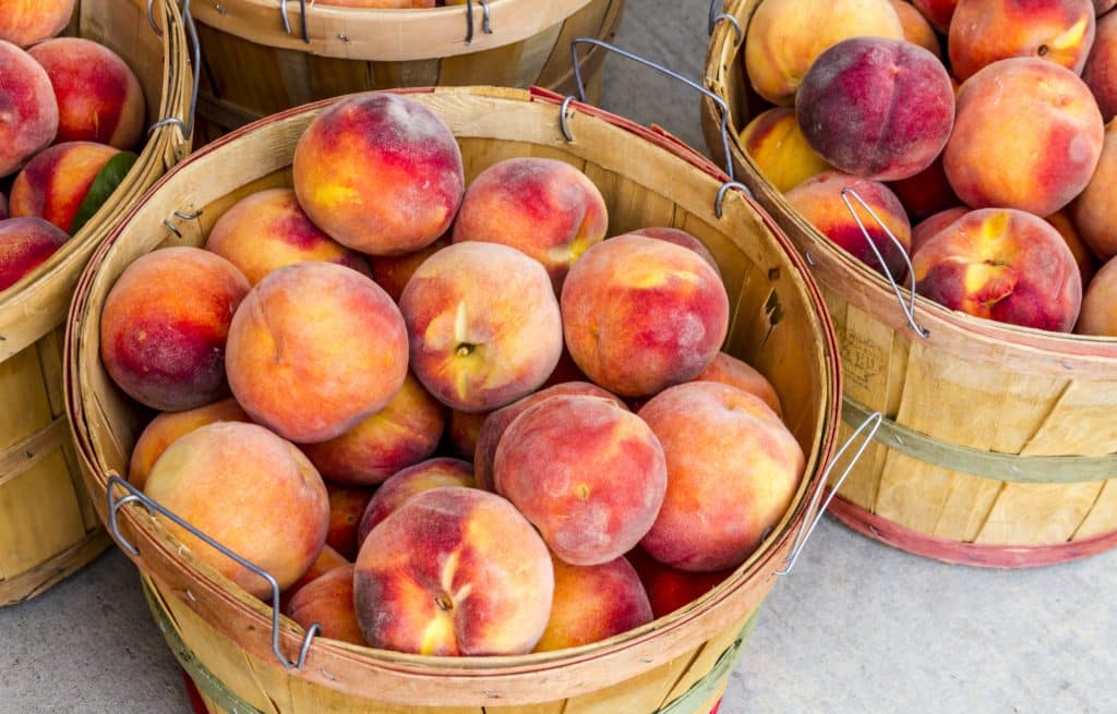 Image of peaches from a peach farm