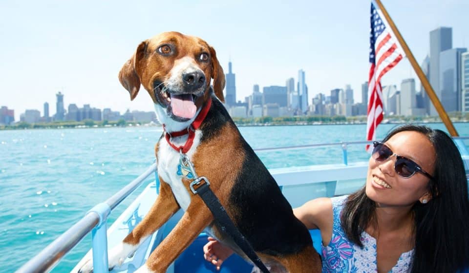 Mercury’s Iconic Canine Cruise Is Back This Weekend