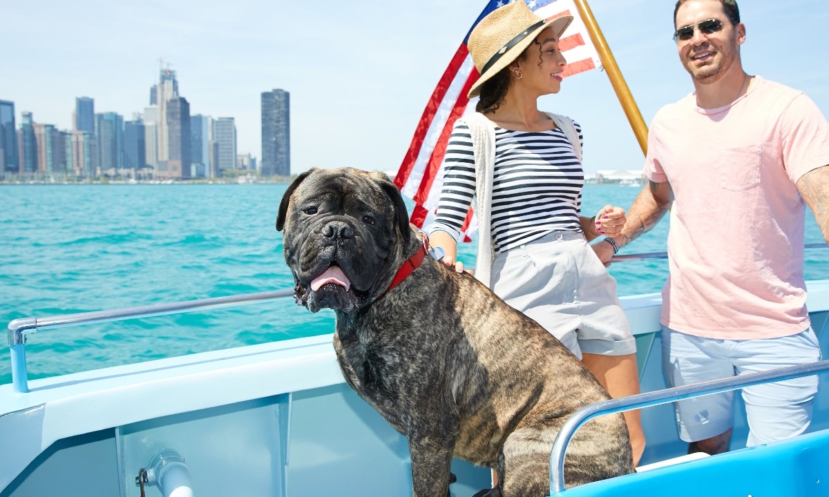 Dog looking at the camera with owners behind it, pictured on the boat