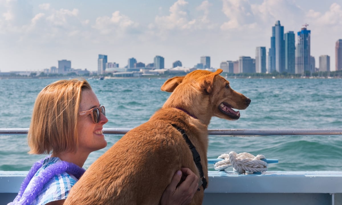 Dog and its owner looking out at the city on the cruise 