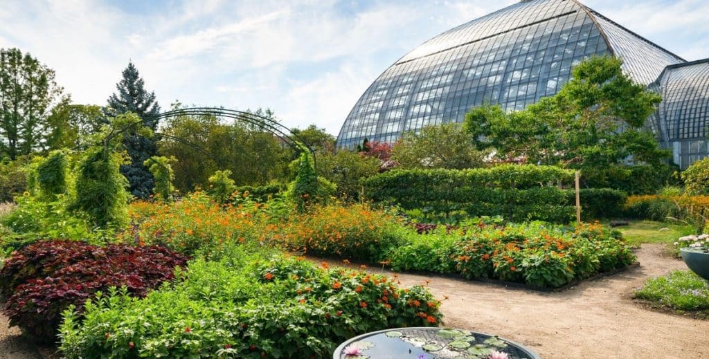 Outdoor area of the conservatory shows lush greenery and a glass dome