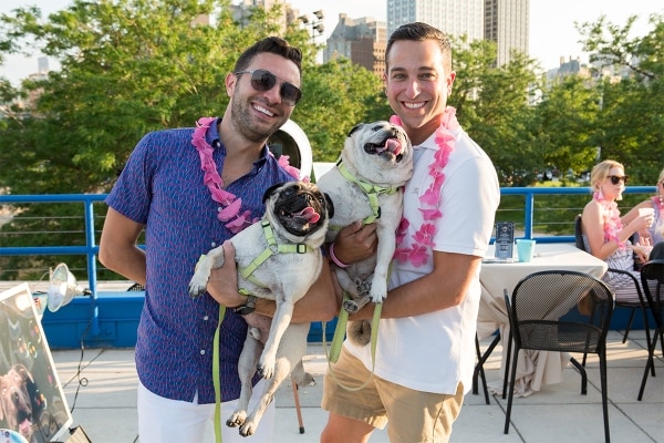 Two people smiling, each holding a pug