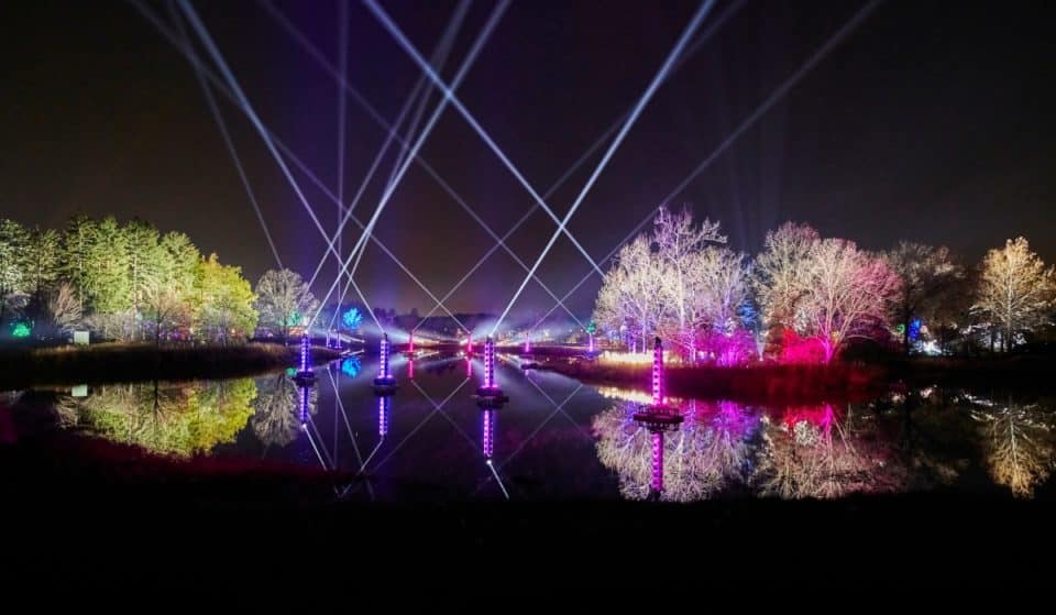 Morton Arboretum’s Magical “Illumination: Tree Lights” Experience Opens This Weekend