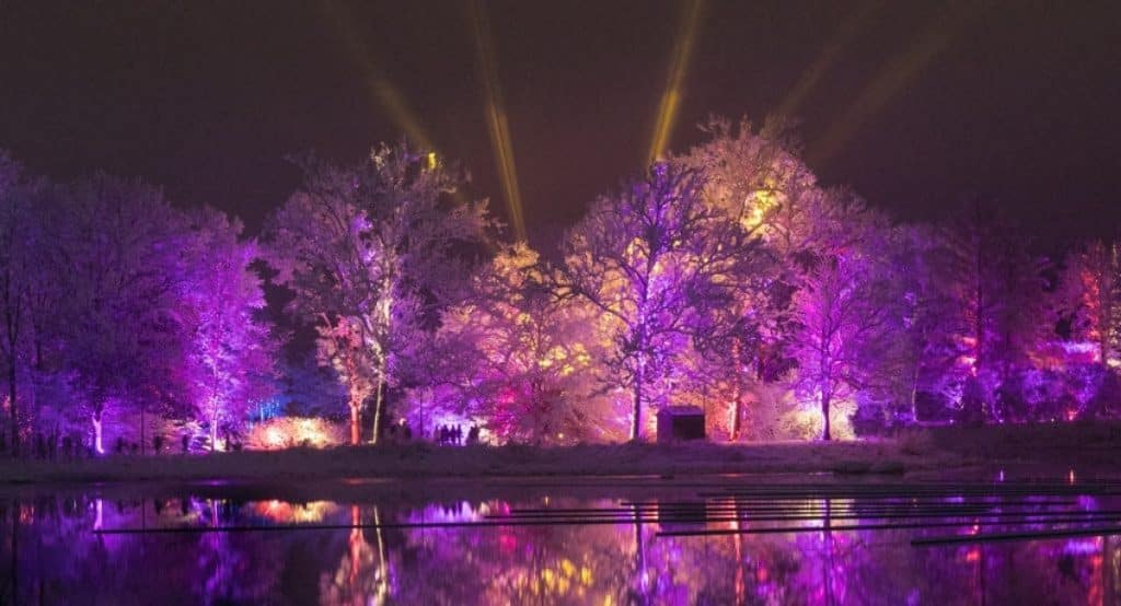 Light show at the Morton Arboretum shows purple lights in trees