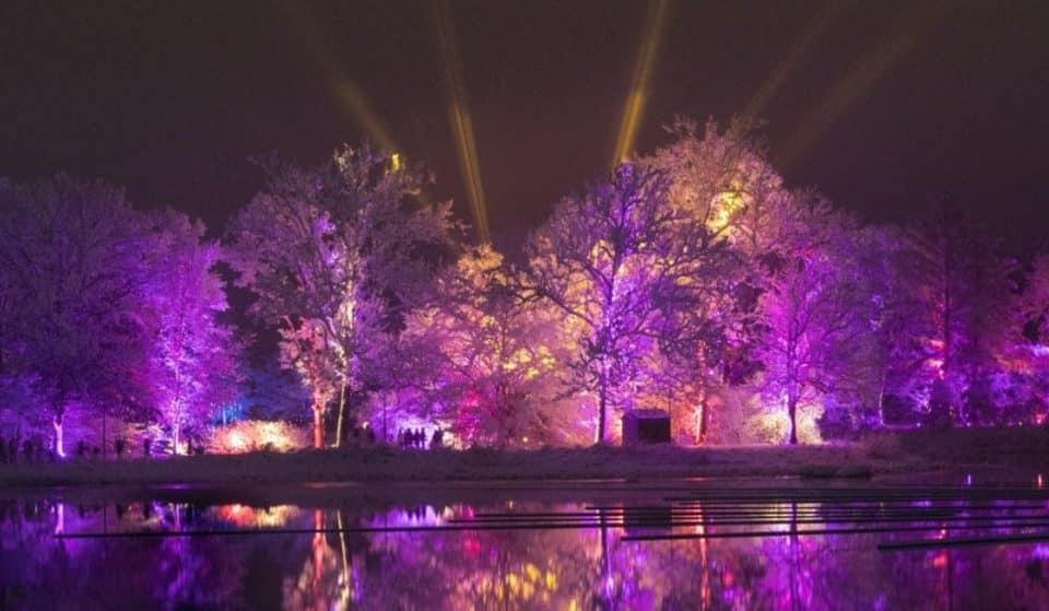 Morton Arboretum’s Magical “Illumination: Tree Lights” Experience Opens This Weekend