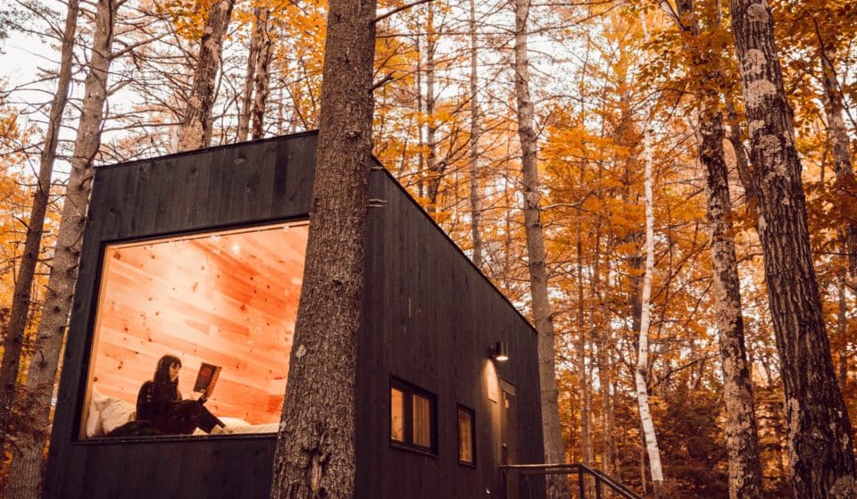 These Cute Cabins With Floor-To-Ceiling Windows Are Coming To Starved Rock State Park This Fall