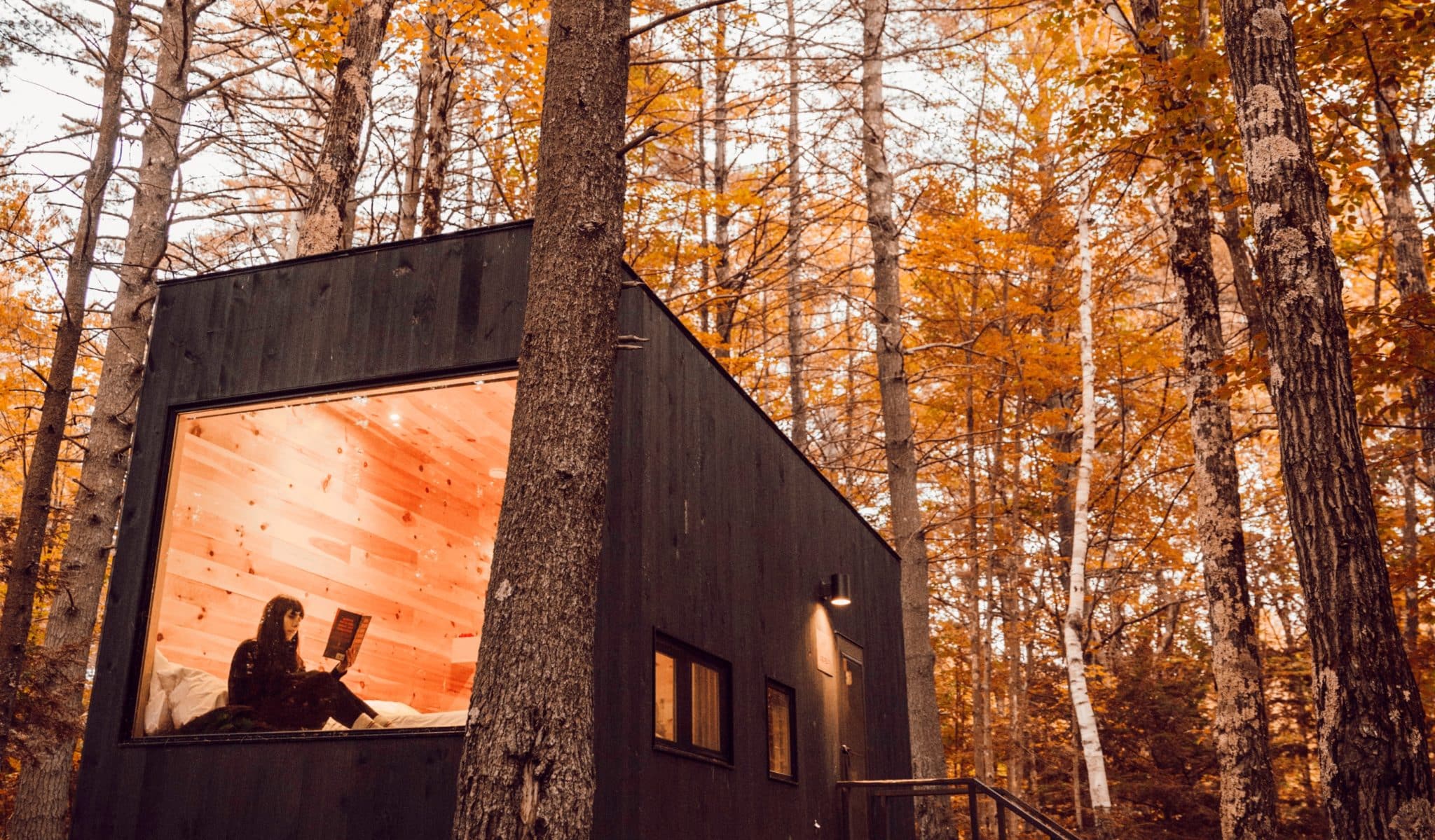 Image showing a girl reading a book by a huge window inside a woodland cabin surrounded by trees near Chicago 
