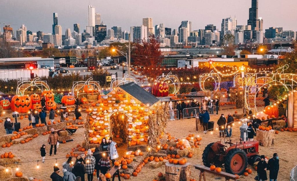 Jack’s Popular Over-The-Top Pumpkin Pop-Up Has Returned For Its Fifth Year