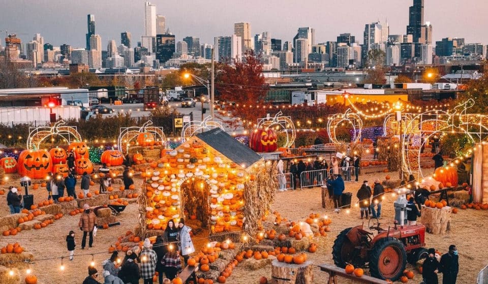 Jack’s Popular Over-The-Top Pumpkin Pop-Up Has Returned For Its Fifth Year