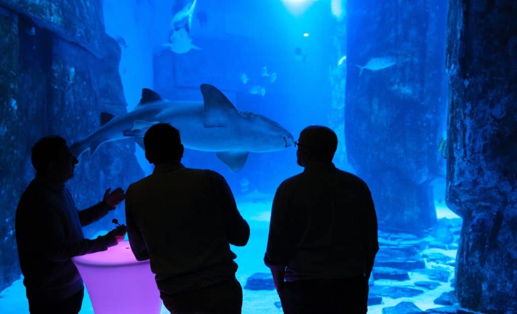 Image of people enjoying an evening at an aquarium