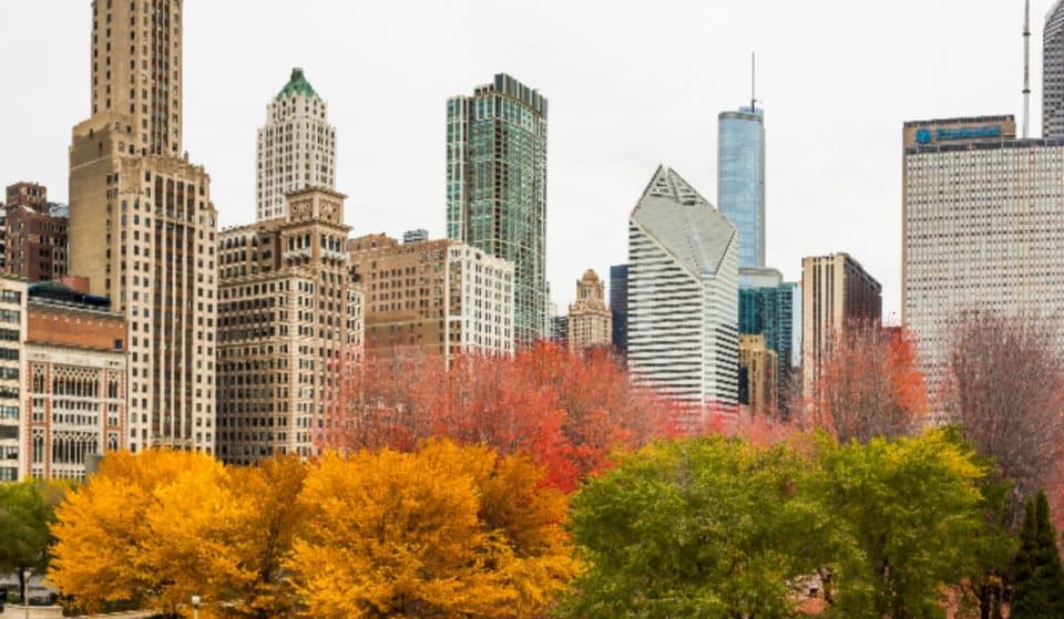 Here’s How To Track Where and When Fall Foliage Will Peak In Chicago 