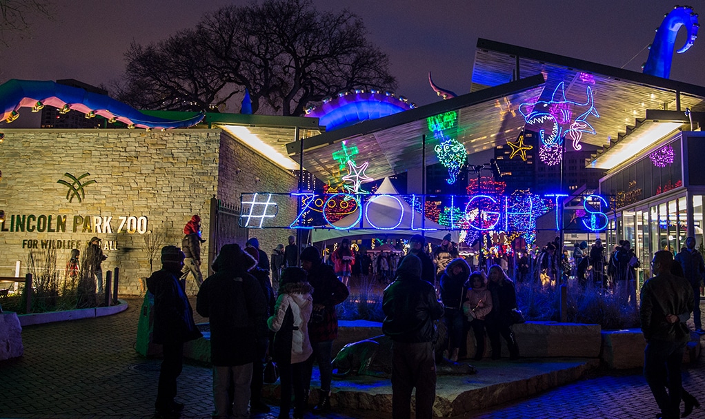 Chicago’s Beloved ZooLights Experience Has Returned To Lincoln Park Zoo