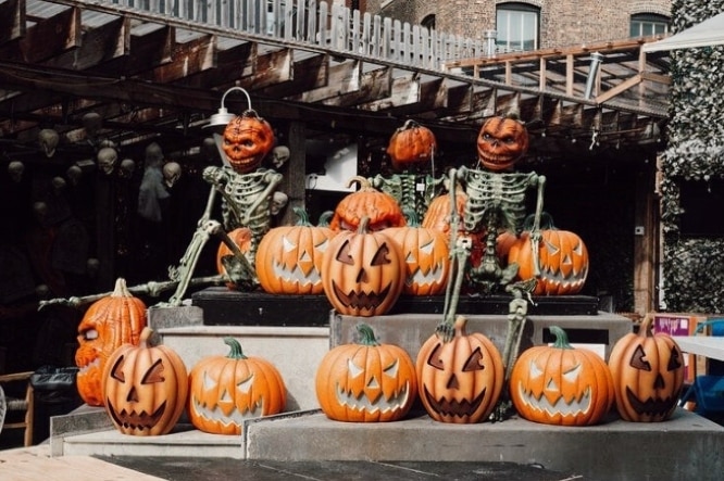 Pumpkin setup featuring skeletons at the event