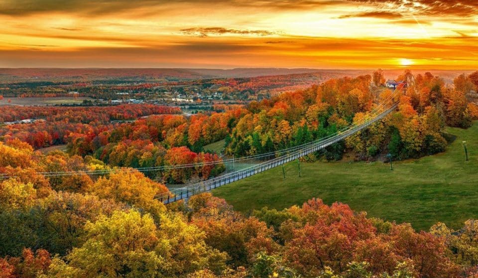 Cross The World’s Longest Timber Suspension Bridge Just Hours Away From Chicago