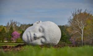 Image of the "Hear: With an ear to the ground" at the Morton Arboretum in Chicago