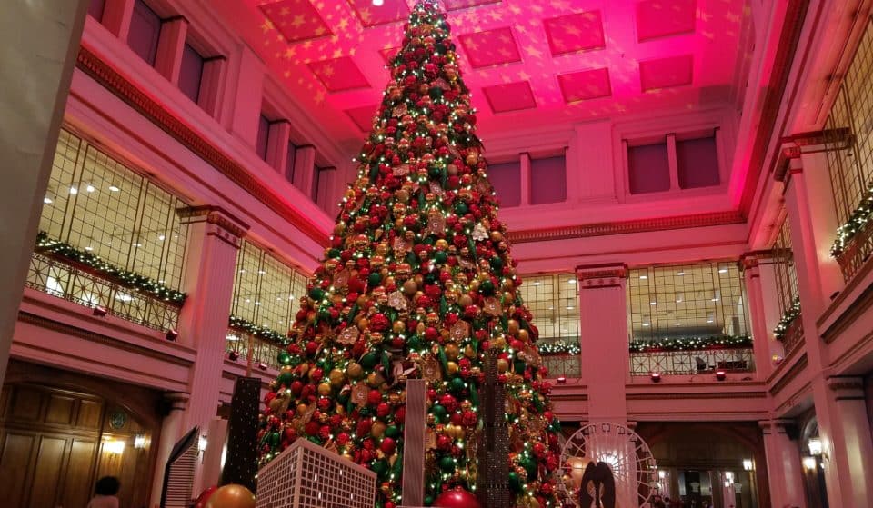 5 Majestic Christmas Trees In Chicago This  Season