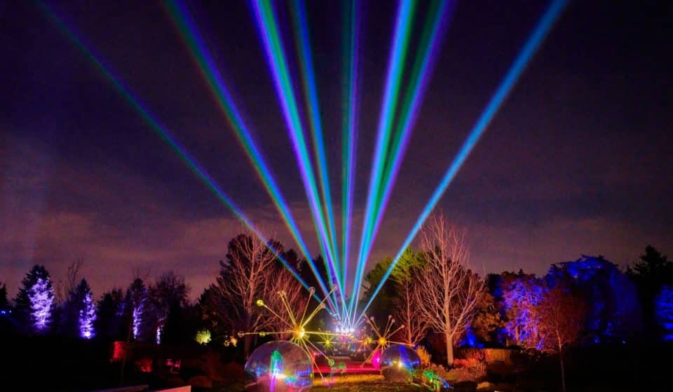 Morton Arboretum’s ‘Illumination Tree Lights’ Has Been Named The Best Light Display In The Midwest